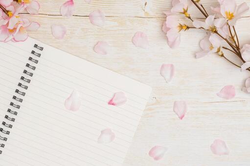 卒業入学イメージ｜桜とノート 入学,入学式,卒業の写真素材