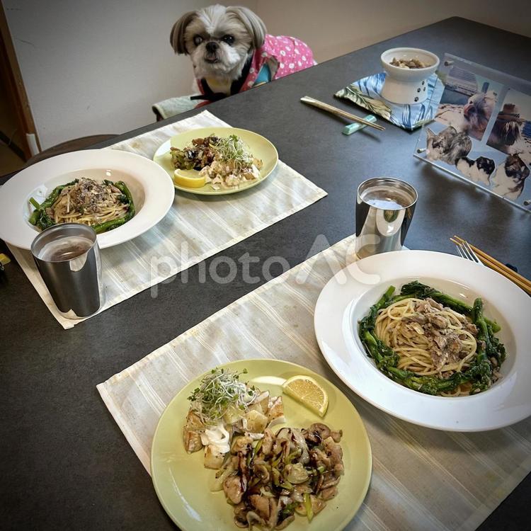 イタリア料理と愛犬 旦那飯,男の料理,手料理の写真素材