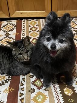 Always together, JPG