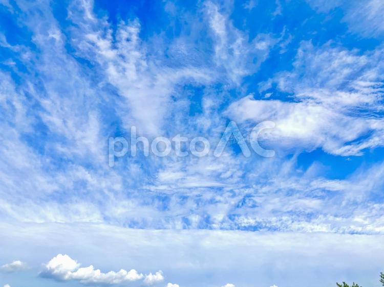 一直線の雲と空 空,入道雲,夏空の写真素材