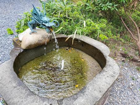 大洗磯前神社 竜の御神水 大洗磯前神社 竜の御神水 大洗磯前神社,御神水,手水の写真素材