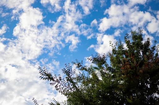 気分爽快の写真素材|写真素材なら「写真AC」無料(フリー)ダウンロードOK 気分爽快の写真素材|写真素材なら「写真AC」無料(フリー)ダウンロードOK