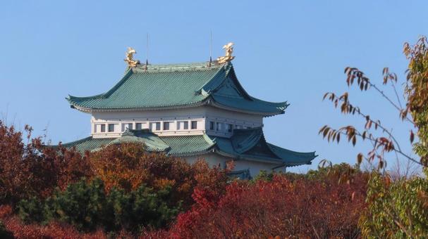 名古屋城　天守　紅葉 名古屋城,尾張徳川家,御三家の写真素材