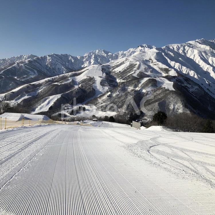 スキー場　ゲレンデ風景 スキー場,岩岳スノーフィールド,ゲレンデの写真素材