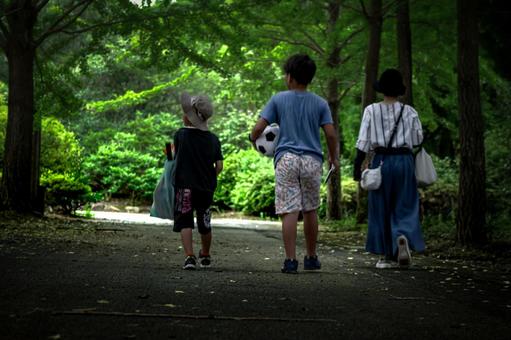 <素材>夏のイチョウ並木を散歩する家族 <素材>夏のイチョウ並木を散歩する家族の写真