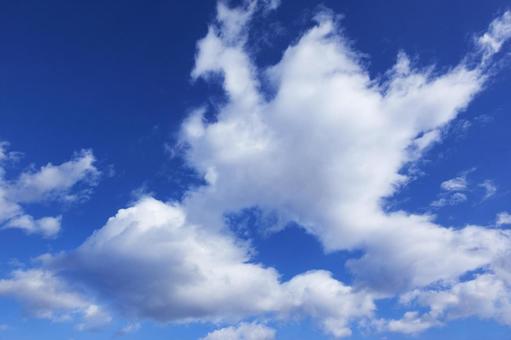 秋の空15 秋の空15 秋,青空,空の写真素材