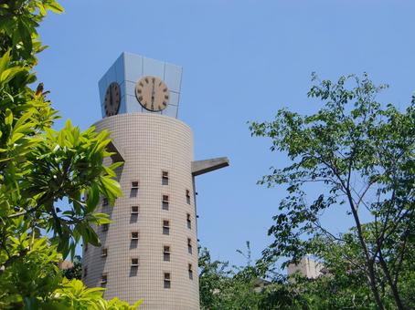 五月の緑風景-37 五月,緑,風景の写真素材