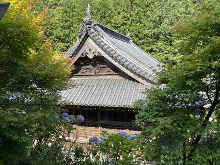 熊谷寺本堂 熊谷寺本堂の写真
