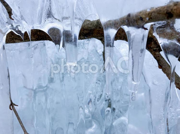 あしがくぼの氷柱のつらら 氷柱,つらら,氷の写真素材