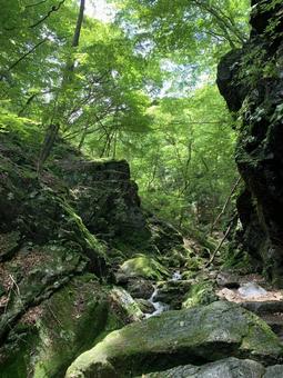 苔むした岩と流れ落ちる渓流の森風景 渓流,清流,岩の写真素材