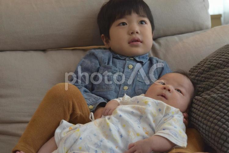 赤ちゃん(男児)大好きお兄ちゃん35日目 赤ちゃん,乳児,男児の写真素材