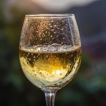 涼しげな白ワイン:夏の夕べの一杯 涼しげな白ワイン:夏の夕べの一杯の写真