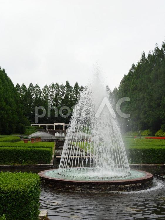噴水＜神奈川県立相模原公園＞ 噴水,公園,庭園の写真素材