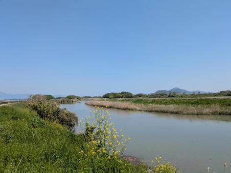 春の家棟川河川敷と青空 春の家棟川河川敷と青空 滋賀県,野洲市,家棟川の写真素材