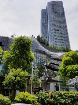 シンガポールの旅 シンガポールの旅 シンガポール,植物園,建築物の写真素材