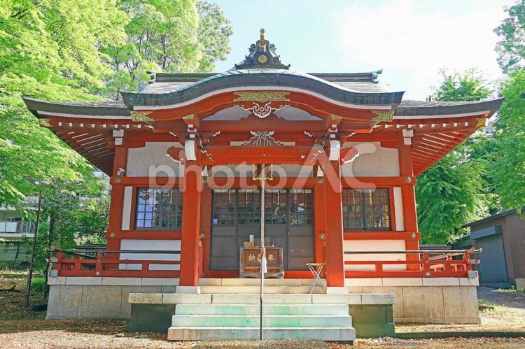 柴崎稲荷神社（調布） 柴崎稲荷神社,倉稲魂命,旧村社の写真素材