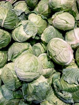 野菜・キャベツ 野菜・キャベツ キャベツ,収穫,栽培の写真素材