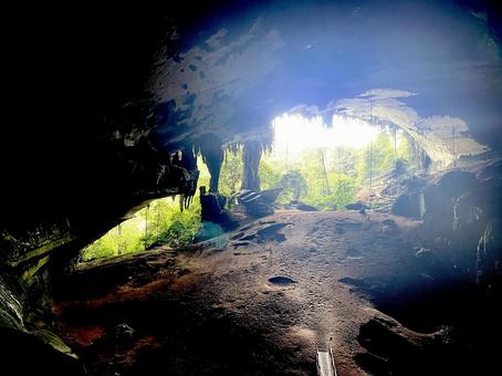 ニア洞窟 ボルネオ島 ニア洞窟 ボルネオ島の写真