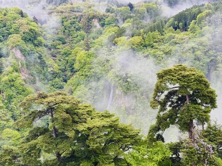 霧と山の風景 霧と山の風景 霧,雲,雨の写真素材