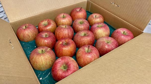 食べ物NM25の写真