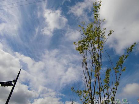 九月の雲-11 九月の雲-11 九月,青空,空の写真素材