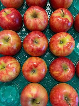 りんご りんご,いっぱい,たくさんの写真素材