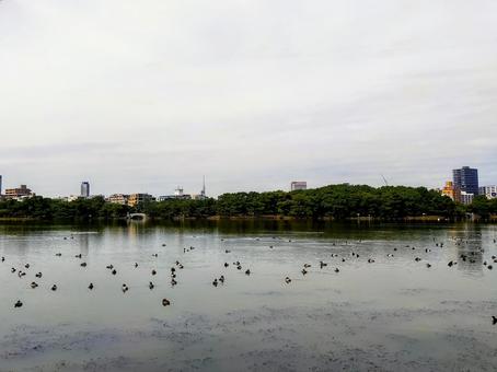 公園 福岡,公園,秋の写真素材