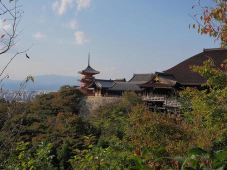 秋の清水寺 秋の清水寺の写真