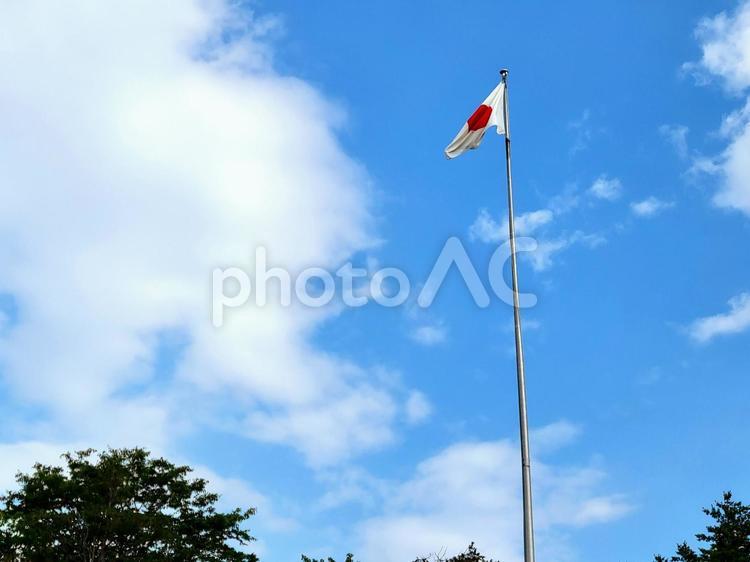 日の丸と夏空　日本国旗　北海道神宮 日の丸,国旗,日本国旗の写真素材