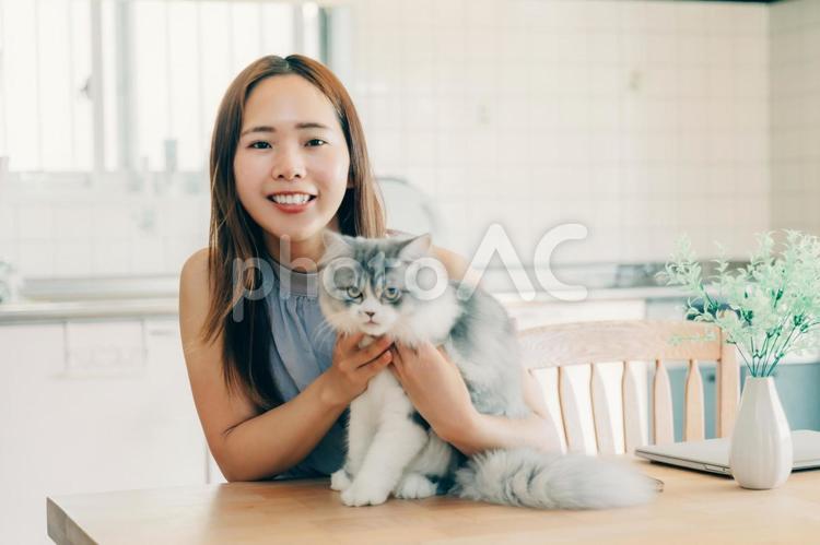 愛しいペットの猫に抱きつく女の子 推し活,推し,愛しいの写真素材
