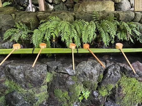 貴船神社 貴船,神社,手水舎の写真素材