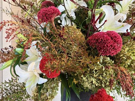 赤と緑の彩りが映える花束 赤と緑の彩りが映える花束 花,生花,きれいの写真素材
