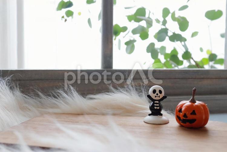 ハロウィン　窓辺のかぼちゃとガイコツ２ halloween,ハロウィン,かぼちゃの写真素材