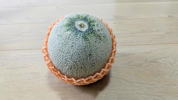 立派なメロン一つ 立派なメロン一つ メロン,タカミメロン,メロンの網目の写真素材