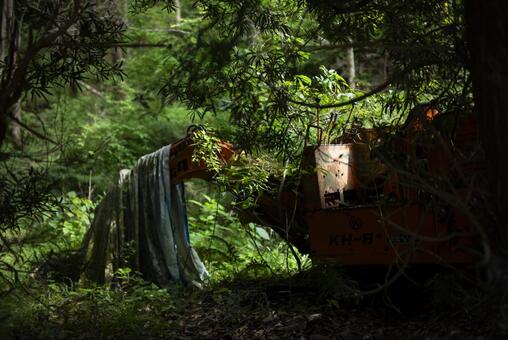 森の中のショベルカー 林業,森,林道の写真素材