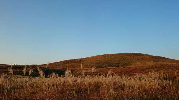 夕暮れの秋吉台とすすき 夕暮れの秋吉台とすすき すすき,秋吉台,秋の写真素材