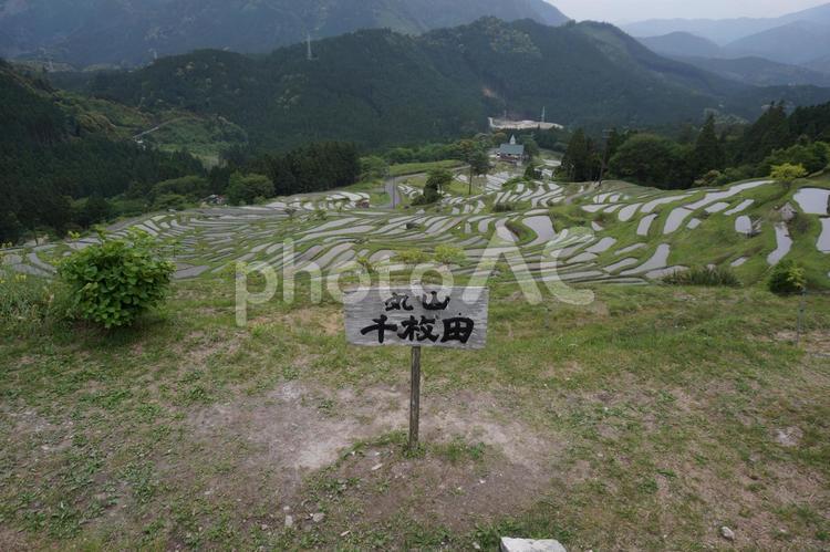 水を張った棚田 丸山千枚田,日本の風景,棚田の写真素材