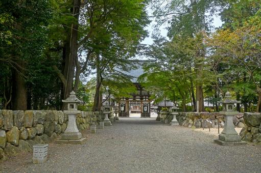 滋賀・近江八幡市 沙沙貴神社 参道 滋賀・近江八幡市 沙沙貴神社 参道の写真