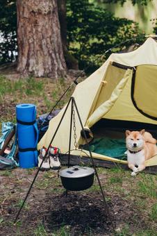 黄色いテントの前に座る犬の写真