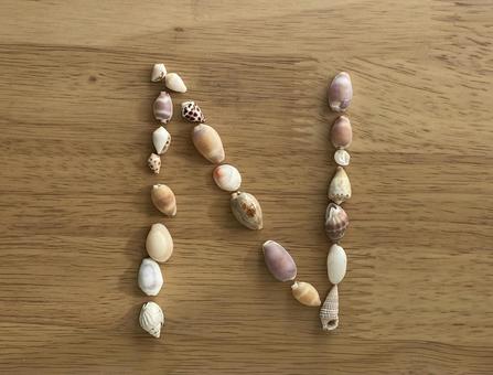 貝殻　アルファベット　N 貝殻,アルファベット,nの写真素材