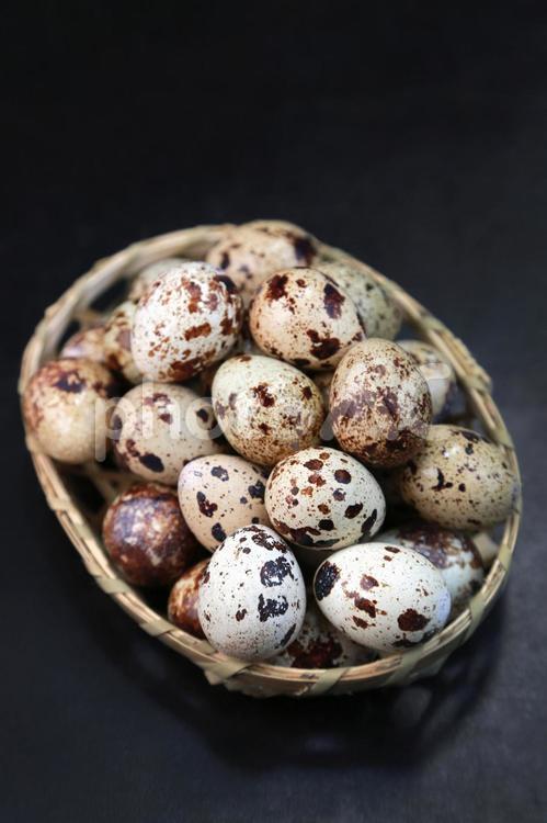 うずらの卵 うずら,卵,鶉の写真素材