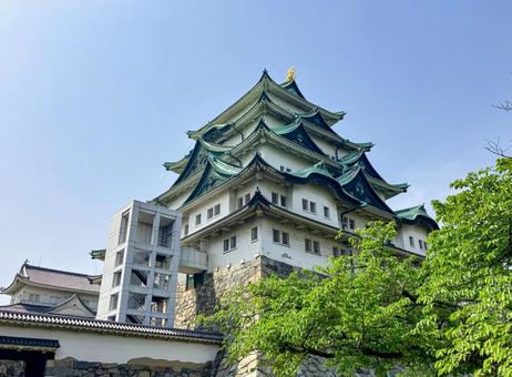 名古屋城を見上げる 名古屋城を見上げる 名古屋城,名古屋,城の写真素材