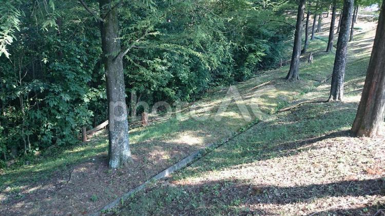 溝のある林 何人もありません,公園,屋外での写真素材