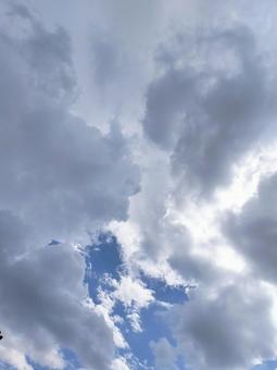 雨上がりの空 雨上がりの空の写真