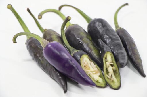 ハンガリアンパープルの写真