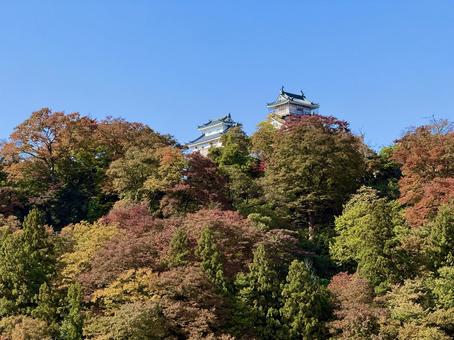 秋の越前大野城　昼間　紅葉の山間 越前大野城,山,秋の写真素材
