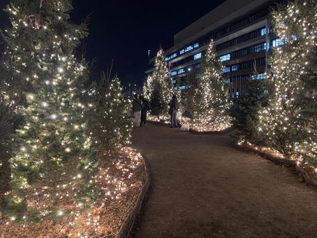 ヨルノヨ クリスマスツリー並木通り ジンジャーブレッドマン,ヨルノヨ,2025の写真素材