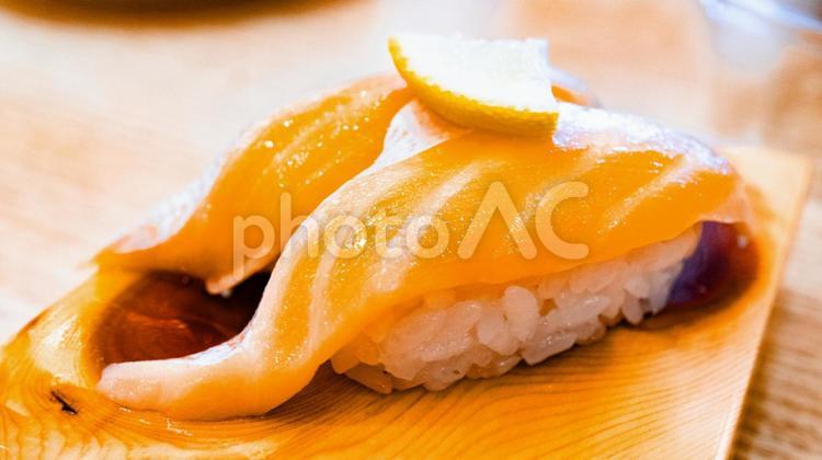 トロサーモンのにぎり寿司 トロサーモン,にぎり寿司,寿司の写真素材