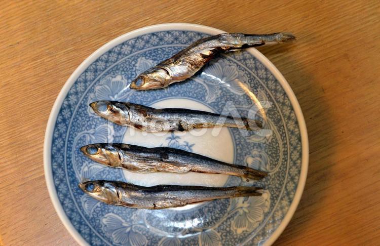 めざし　小魚　いわし　鰯　イワシ めざし,目刺し,いわしの写真素材