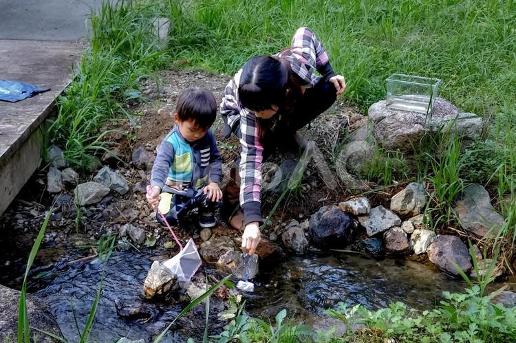 素材＞小川でガサガサ（小魚捕獲）する親子 女性,子供,家族の写真素材